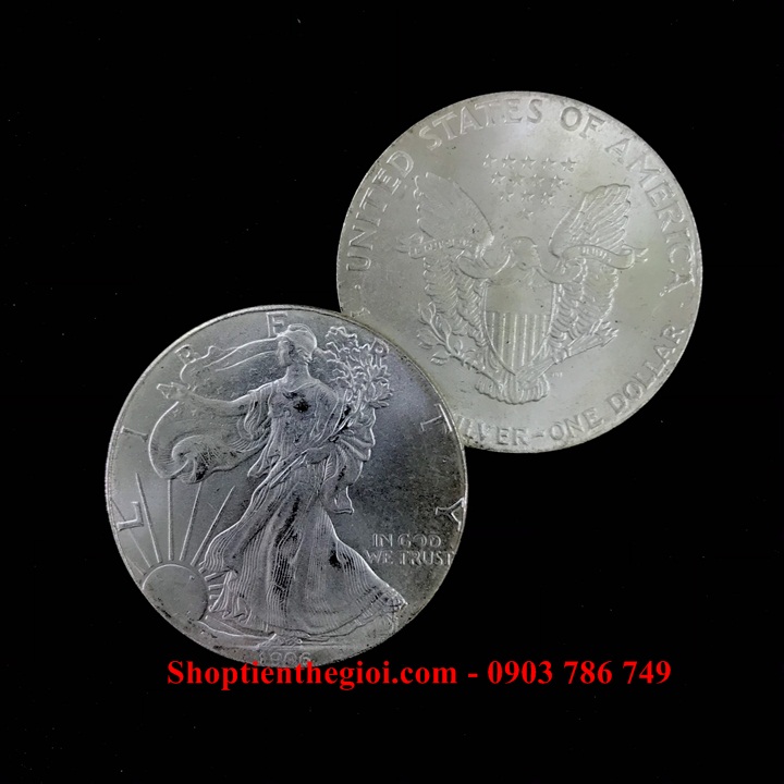 Xu Mỹ - USA 1 Dollar Liberty 1906 (FAKE) - SP005318 